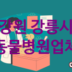 강원 강릉시 동물병원 추천 TOP 5