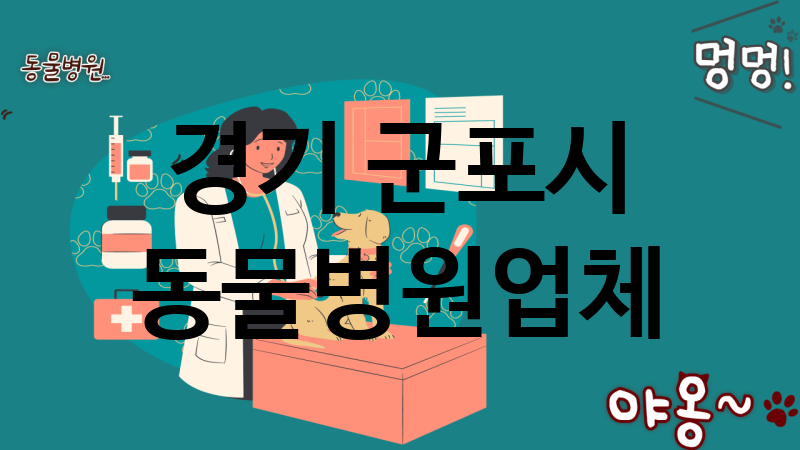 경기 군포시 동물병원 업체 추천 4