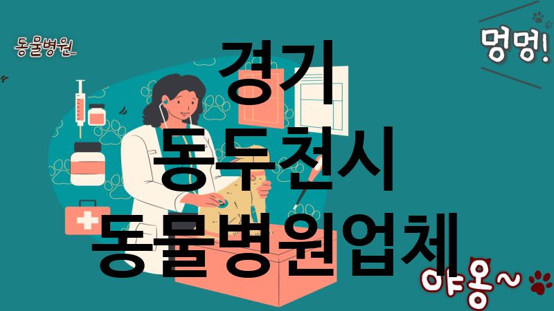 경기 동두천시 동물병원 업체 추천 3