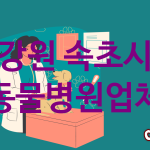 강원 속초시 동물병원 추천 TOP 5