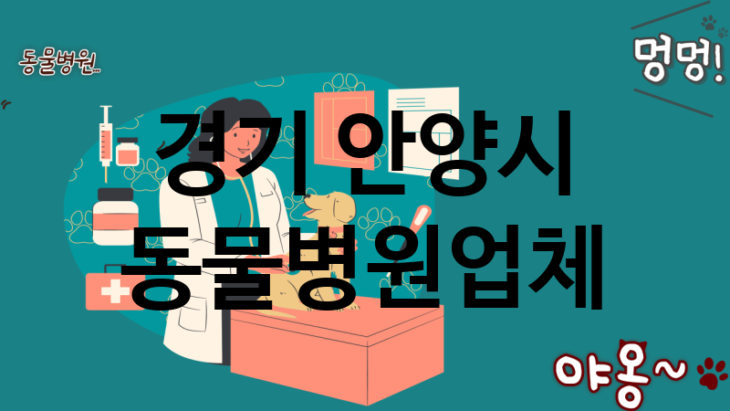 경기 안양시 동물병원 업체 추천 4
