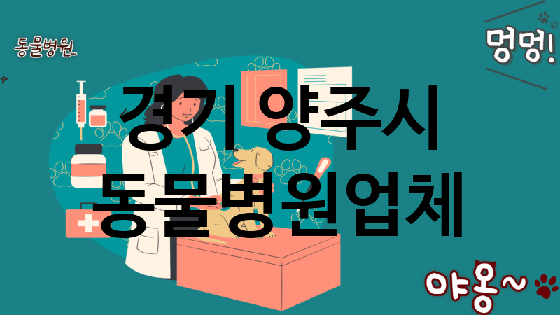 경기 양주시 동물병원 추천 TOP 2