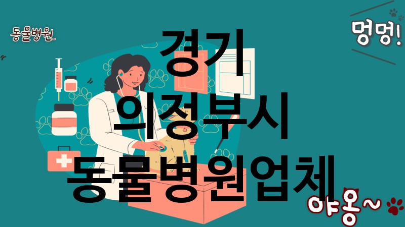 경기 의정부시 동물병원 추천 TOP 3