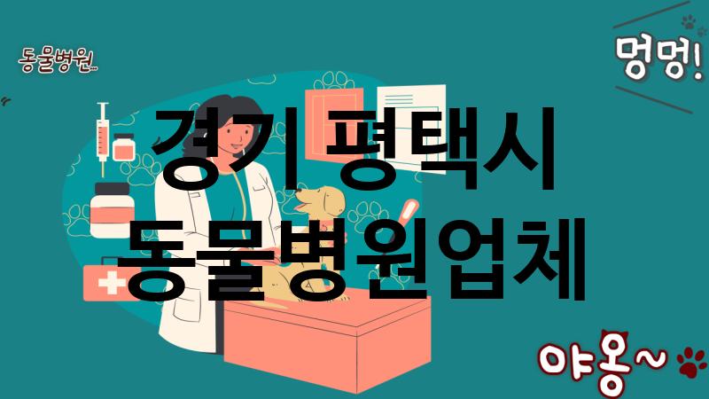 경기 평택시 동물병원 추천 TOP 4