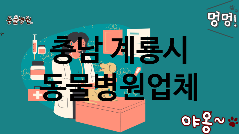 충남 계룡시 동물병원 추천 TOP 3