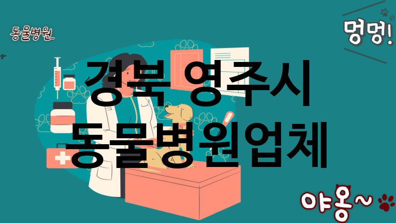 경북 영주시 동물병원 추천 TOP 1
