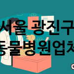 서울 광진구 동물병원 추천 TOP 4