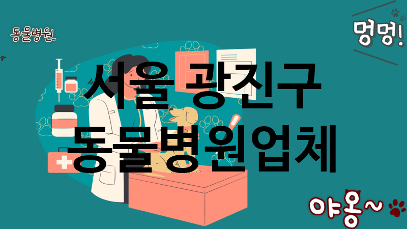 서울 광진구 동물병원 추천 TOP 4