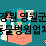 강원 영월군 동물병원 업체 추천 2