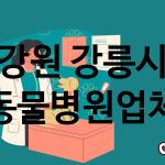 강원 강릉시 동물병원 추천 TOP 4