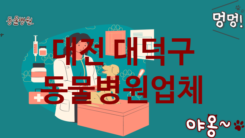 대전 대덕구 동물병원 추천 TOP 3