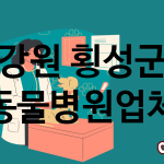 강원 횡성군 동물병원 업체 추천 4