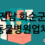 전남 화순군 동물병원 업체 추천 4