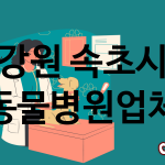 강원 속초시 동물병원 업체 추천 4
