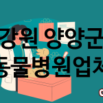 강원 양양군 동물병원 추천 TOP 1