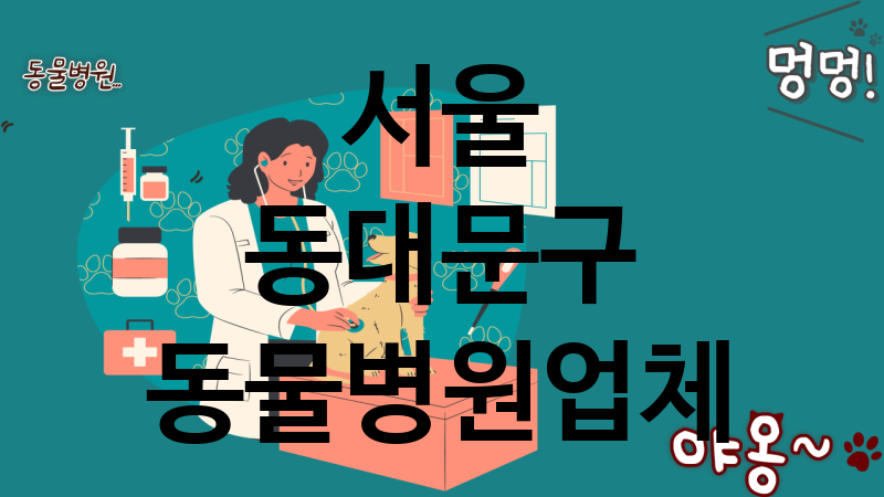 서울 동대문구 동물병원 업체 추천 4