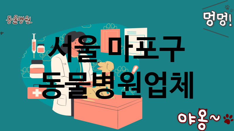 서울 마포구 동물병원 업체 추천 4