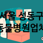 서울 성동구 동물병원 업체 추천 4