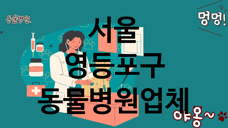 서울 영등포구 동물병원 추천 TOP 4