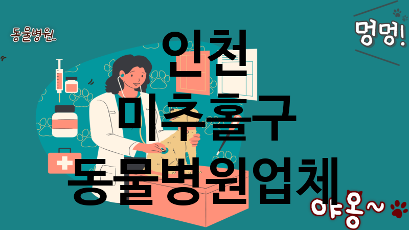 인천 미추홀구 동물병원 업체 추천 4