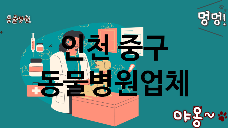 인천 중구 동물병원 업체 추천 4