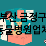 부산 금정구 동물병원 추천 TOP 4