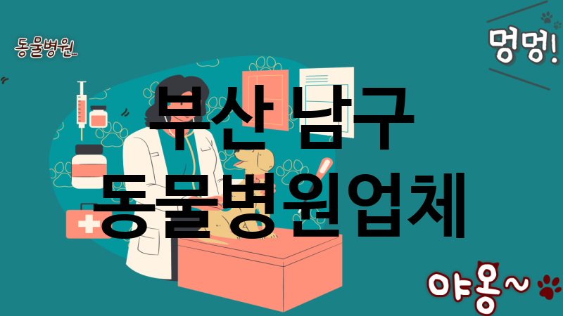 부산 남구 동물병원 추천 TOP 3