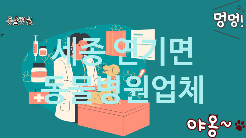 세종 연기면 동물병원 업체 추천 2