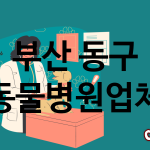 부산 동구 동물병원 업체 추천 3