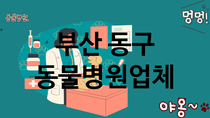 부산 동구 동물병원 업체 추천 3