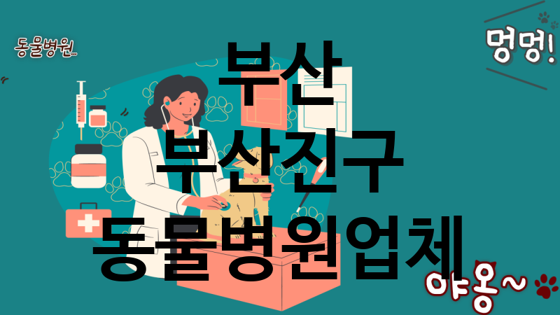 부산 부산진구 동물병원 업체 추천 4