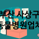 부산 사상구 동물병원 추천 TOP 4