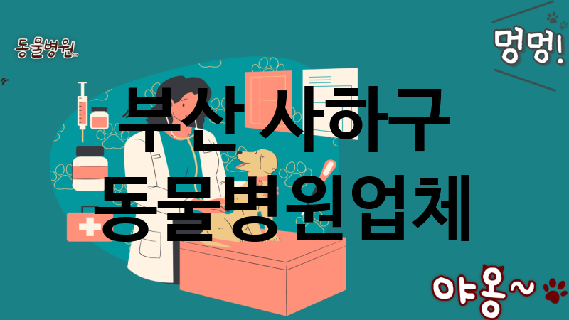 부산 사하구 동물병원 업체 추천 4