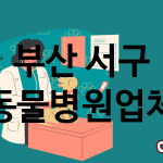 부산 서구 동물병원 추천 TOP 1