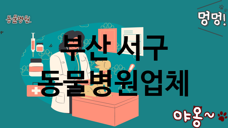 부산 서구 동물병원 추천 TOP 1
