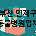 부산 연제구 동물병원 업체 추천 4