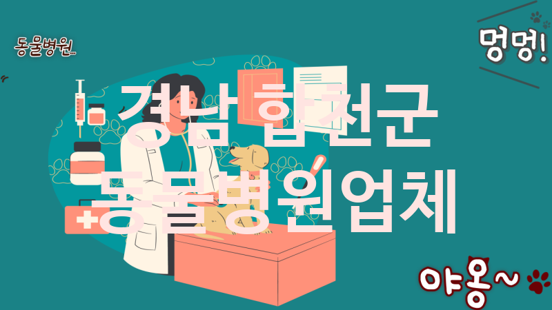 경남 합천군 동물병원 추천 TOP 1