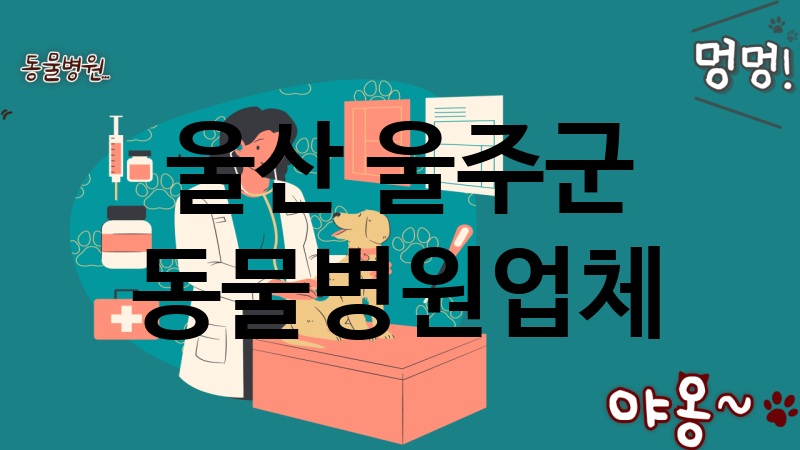 울산 울주군 동물병원 업체 추천 4