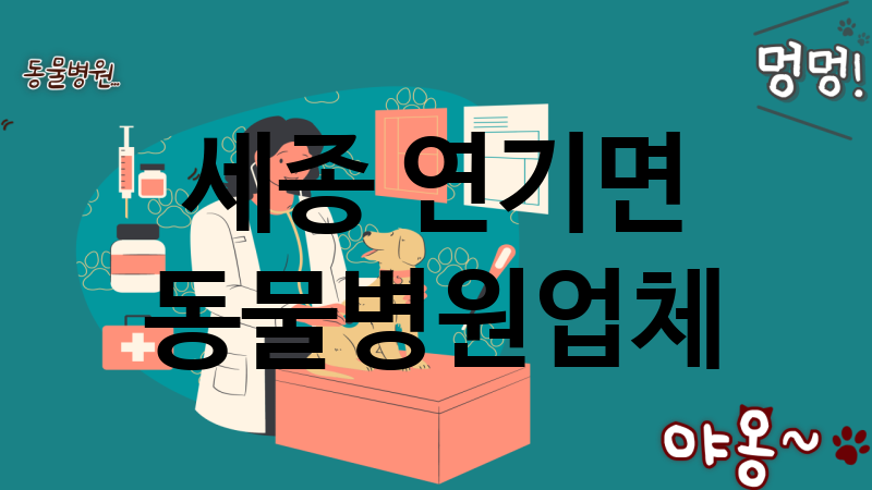 세종 연기면 동물병원 업체 추천 2