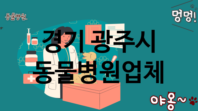 경기 광주시 동물병원 업체 추천 4