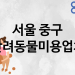 서울 중구 반려동물미용 추천 TOP 5