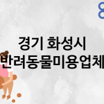 경기 화성시 반려동물미용 업체 추천 5
