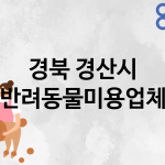 경북 경산시 반려동물미용 추천 TOP 4