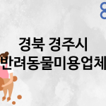 경북 경주시 반려동물미용 추천 TOP 3