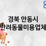 경북 안동시 반려동물미용 추천 TOP 1