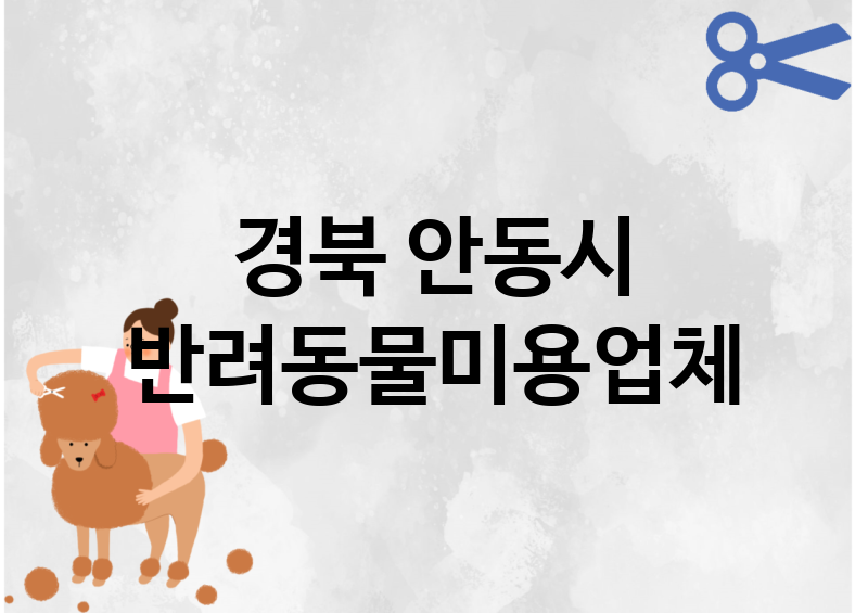 경북 안동시 반려동물미용 추천 TOP 1
