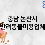 충남 논산시 반려동물미용 업체 추천 5