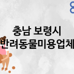 충남 보령시 반려동물미용 업체 추천 1