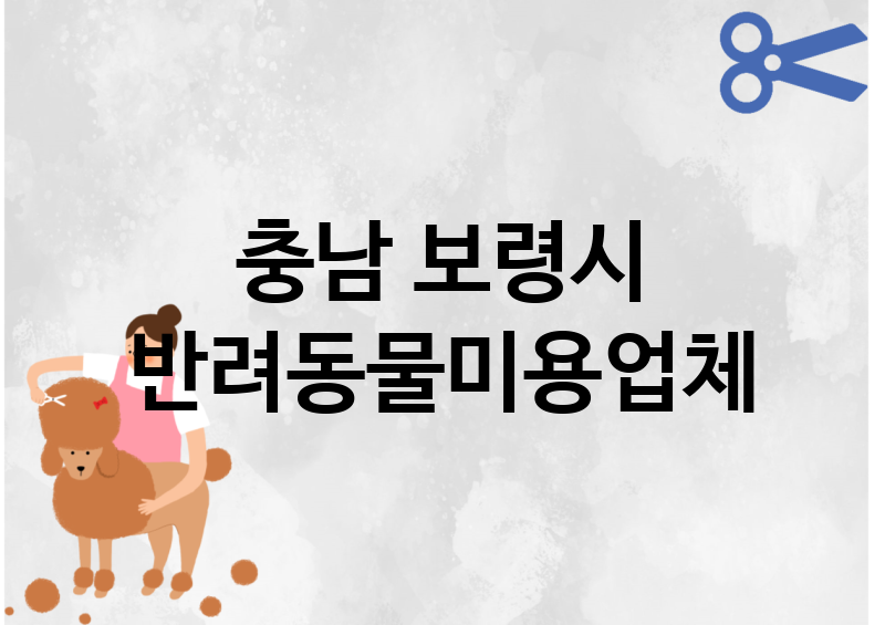 충남 보령시 반려동물미용 업체 추천 1