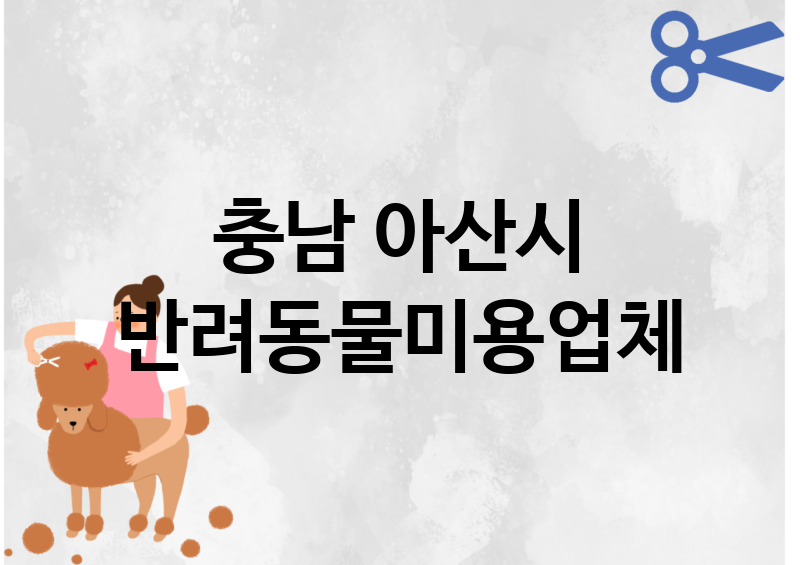 충남 아산시 반려동물미용 추천 TOP 5